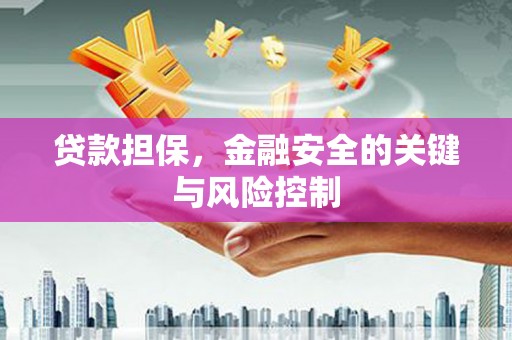 曾都贷款担保，金融安全的关键与风险控制