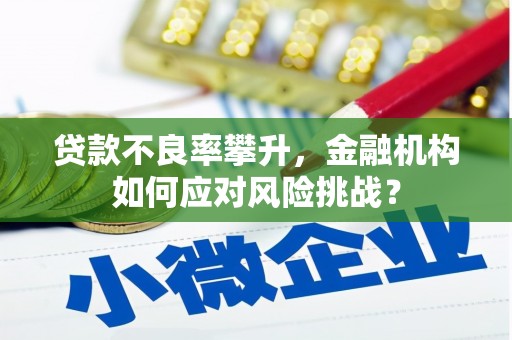 曾都贷款不良率攀升，金融机构如何应对风险挑战？
