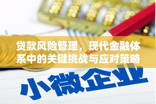曾都贷款风险管理，现代金融体系中的关键挑战与应对策略