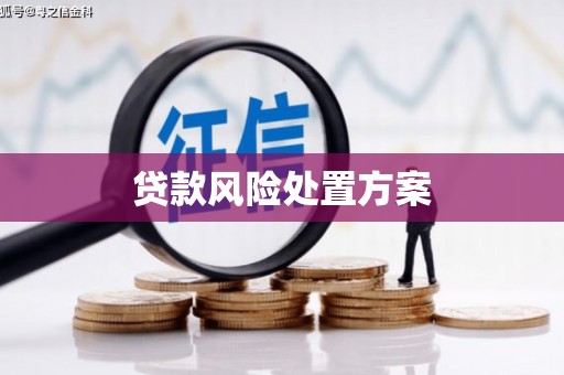 曾都贷款风险处置方案