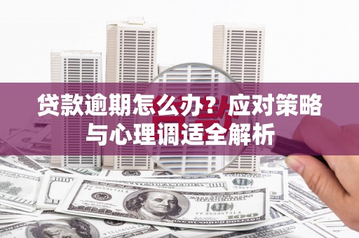 曾都贷款逾期怎么办？应对策略与心理调适全解析