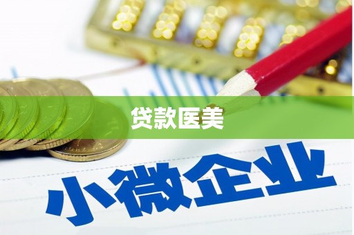 曾都贷款医美