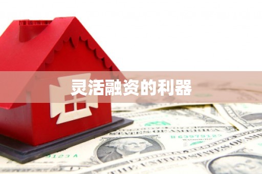 曾都灵活融资的利器