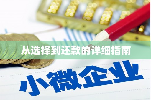 曾都从选择到还款的详细指南