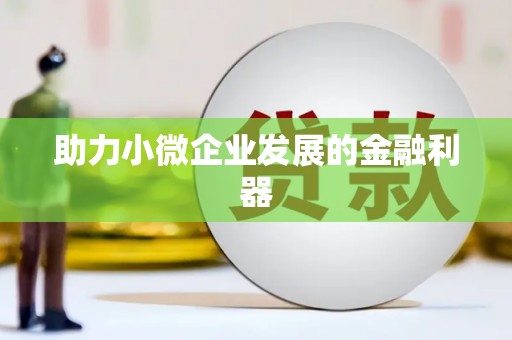 曾都助力小微企业发展的金融利器