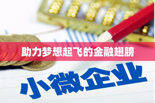 曾都助力梦想起飞的金融翅膀