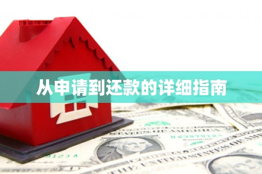 曾都从申请到还款的详细指南