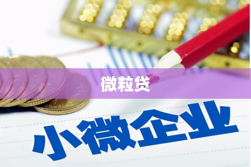 曾都微粒贷