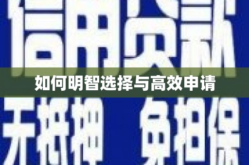 曾都如何明智选择与高效申请