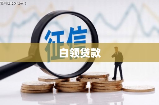 曾都白领贷款