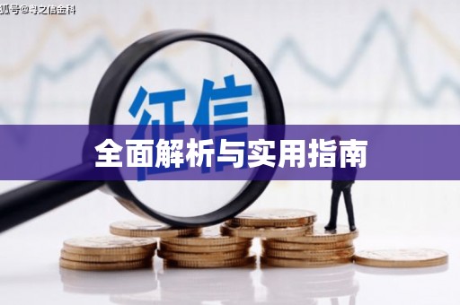 曾都全面解析与实用指南