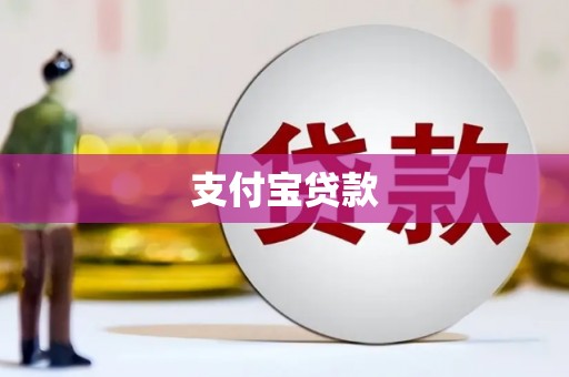 曾都支付宝贷款