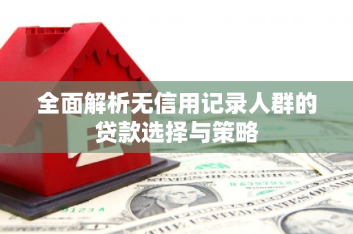 曾都全面解析无信用记录人群的贷款选择与策略