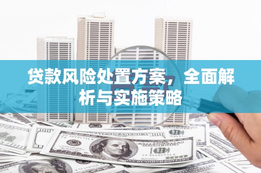 曾都贷款风险处置方案，全面解析与实施策略
