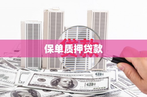 曾都保单质押贷款