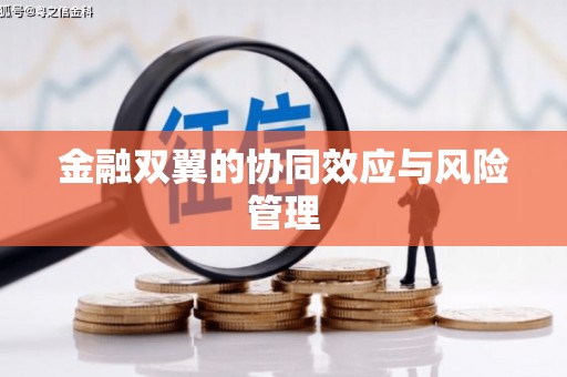 曾都金融双翼的协同效应与风险管理