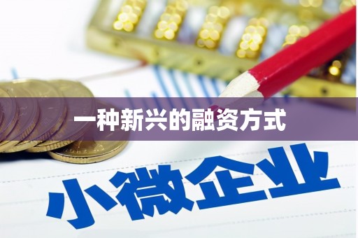 曾都一种新兴的融资方式