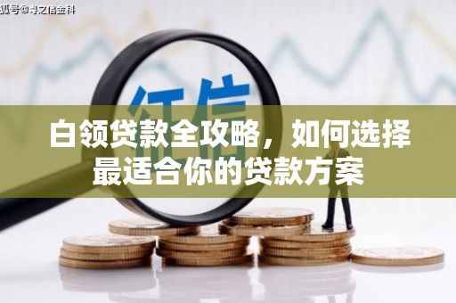 曾都白领贷款全攻略，如何选择最适合你的贷款方案