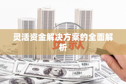 曾都灵活资金解决方案的全面解析