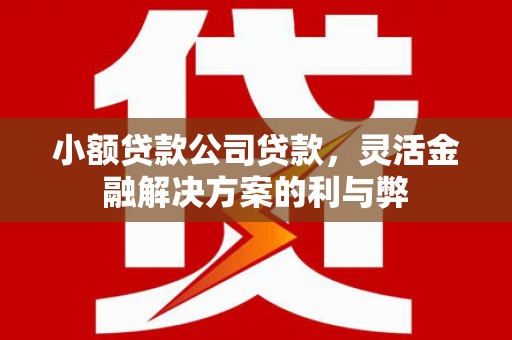 曾都小额贷款公司贷款，灵活金融解决方案的利与弊