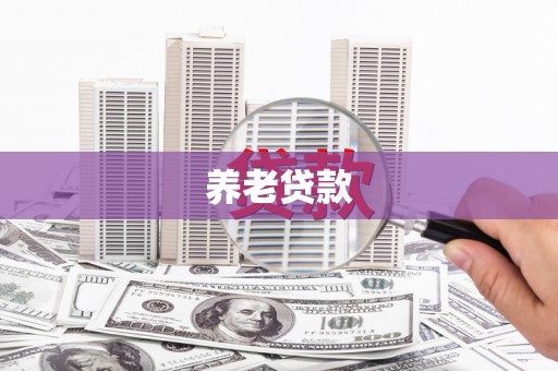 曾都养老贷款