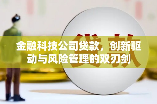 曾都金融科技公司贷款，创新驱动与风险管理的双刃剑
